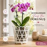 Dekoratif Kalpli Orkide Saksısı Şeffaf Iç Hazneli Modern Çiçek Saksısı