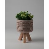 Dekoratif Küçük Beton Saksı – Ayaklı / Ayaksız – Sukulent & Mini Kaktüs Saksısı – Renk ve Desen Seçenekli - Ayaklı Aztec - Bej