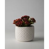 Dekoratif Küçük Beton Saksı – Ayaklı / Ayaksız – Sukulent & Mini Kaktüs Saksısı – Renk ve Desen Seçenekli - Ayaksız Çiçek - Beyaz