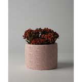 Dekoratif Küçük Beton Saksı – Ayaklı / Ayaksız – Sukulent & Mini Kaktüs Saksısı – Renk ve Desen Seçenekli - Ayaksız Karo Çizgi - Pembe
