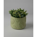 Dekoratif Küçük Beton Saksı – Ayaklı / Ayaksız – Sukulent & Mini Kaktüs Saksısı – Renk ve Desen Seçenekli - Ayaksız Monstera - Yeşil