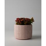 Dekoratif Küçük Beton Saksı – Ayaklı / Ayaksız – Sukulent & Mini Kaktüs Saksısı – Renk ve Desen Seçenekli - Ayaksız Yaprak - Pembe