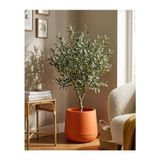 Dekoratif Modern Tabak Saksı, 34X28 Cm, Turuncu, Plastik