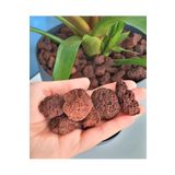Dekoratif Pomza Taşı 20 Kg 10-20 Mm Kırmızı Pomza Tarım Pomzası Bahçe Saksı Teraryum Taşı Ponza Taş Renkli1