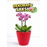 Dekoratif Saksı 12.5 cm | Canlı Kırmızı Renk | 1.25 Lt | Orkide ve Salon Bitkileri Için