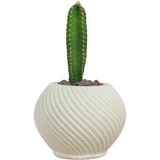 Dekoratif Saksı Minik Kaktüs Saksısı Ince Çizgi Spiral Model - Tekli - Beyaz