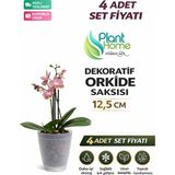 Dekoratif Şefaf Orkide Saksısı - A Adet Set Fiyatlı -12 Pot Üretim Saksısına Uygun Kaliteli Ürün