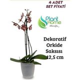 Dekoratif Şeffaf Orkide Saksısı - 4 Adet Set Fiyatlı - 12 Pot Üretim Saksısına Uygun Kaliteli Ürün