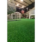 Dekoratif Suni Çim Halı 7 Mm En 100 Boy 50 Cm