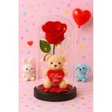 Dekoratif Tasarım Fanus Led Işıklı Kırmızı Gül I Love You Ayıcık Sevgiliye Romantik Aşk Hediye Seti
