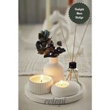 Dekoratif Tepside 5 Li Set Çizgili Vazo, Vanilya Kokulu Ahşap Fitilli Mum, Tealight Mumluk, Oda Koku - Beyaz - 5 Adet