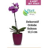 Dekoratif Vişne Orkide Saksısı - 4 Adet Set Fiyatlı - 12 Pot Üretim Saksısına Uygun Kaliteli Ürün