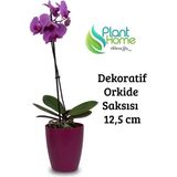 Dekoratif Vişne Orkide Saksısı-A Adet Set Fiyatlı-12 Pot Üretim Saksısına Uygun Kaliteli Ürün - Mürdüm