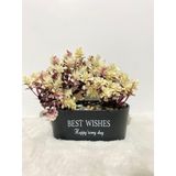 Dekoratif Yapay Bonsai Ağacı - Taşlı Ve "Best Wishes" Yazılı Gri Oval Saksıda Mini Çam Ağacı, Ev, Ofis, Çalışma Masası Hediyelik Yapay Bitki (AÇIK RENKLİ)