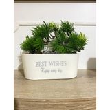 Dekoratif Yapay Bonsai Ağacı - Taşlı Ve "Best Wishes" Yazılı Gri Oval Saksıda Mini Çam Ağacı, Ev, Ofis, Çalışma Masası Hediyelik Yapay Bitki (BEYAZ)