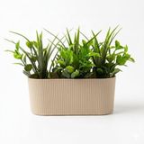 Dekoratif Yapay Sukulent Bitki Saksısı – Modern Masaüstü Yapay Bitki Aranjmanı, Dekoratif Plastik Saksı ile Ev, Ofis ve Raf Dekoru (16 x 7 cm)