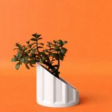 Dekoratif Yarım Sütun Saksı 15CM - Beyaz