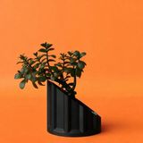 Dekoratif Yarım Sütun Saksı 15CM - Siyah