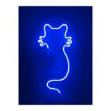 Dekoraven Kedi Neon Led Duvar Yazısı Dekoratif Işıklı Gece Lambası Duvar Süsü, catmaviraven11