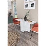 Dekorfim Ultra Flamingo Pratik Katlanır Portatif Masa Mutfak ve Yemek Masası - Beyaz - 140*60