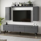 Dekorosso Andora Modern Tv Ünitesi Kitaplıklı Dolaplı Tv Sehpası Antrasit