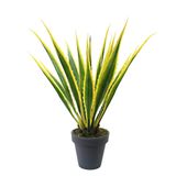 Dekorsende 105 cm Agave Americana Ağacı Yapay Bitki