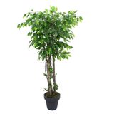 Dekorsende 170 cm Ficus Benjamin Ağacı Yapay Bitki