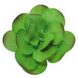 Dekorsende 25 cm Yapay Sukulent