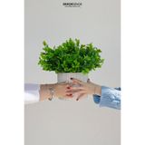 Dekorsende 37 cm Yapay Kuzu Kulağı Demeti