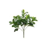 Dekorsende 40 cm Yapay Polyscias Demeti