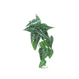 Dekorsende 55 cm Caladium Sarmaşık Demeti Yapay Bitki