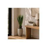 Dekorsende Yapay Agave Bitkisi 75 Cm