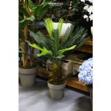 Dekorsende Yapay Cycas Ağacı 130 cm
