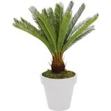 DEKORSENDE Yapay Cycas Ağacı 80 cm