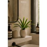 Dekorsende Yapay Dracena Demet Sarı Yeşil 50 Cm