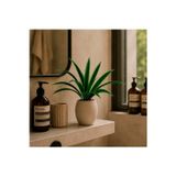 Dekorsende Yapay Dracena Demet Yeşil 50 Cm