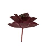 dekorsende Yapay Mini Echeveria Sukulent Bordo 8 cm