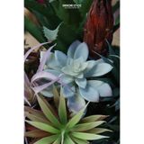 dekorsende Yapay Mini Etli Echeveria Sukulent Açık Yeşil 12 cm