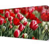 DekorSevgisi - Gelincik Bahçesi2 Tablosu - 105x70
