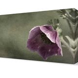 DekorSevgisi - Mor Gelincik Tablosu - 120x80