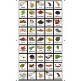 Dekotadan Baharat Takımı Kavanoz Etiketleri 42'li