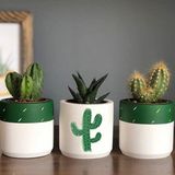 Dekozayn Home Kaktüs Desenli Beton Saksı Üçlü Set- Küçük Boy Sukulent Saksısı Çizim Kaktüs - Beyaz - Yeşil