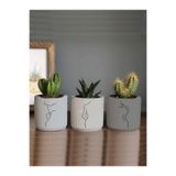 Dekozayn Home Minimalist Kadın Çizimli 3lü Set Kaktüs Ve Sukulent Saksısı Hediyelik (ÇİÇEKSİZ)