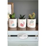 Dekozayn Home Pastel Kedi Kedi Desenli Beton Saksı Üçlü Set- Küçük Boy Sukulent Saksısı Çizim Hediyelik Kalemlik