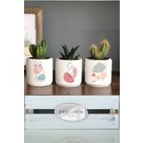 Dekozayn Home Pastel Kedi Kedi Desenli Saksı Set- Küçük Boy Sukulent Saksısı Hediyelik Kalemlik