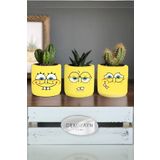 Dekozayn Home Sunger Bob Sponge Desenli Saksı Üçlü Set- Küçük Boy Sukulent Saksısı Çizim Hediyelik