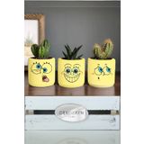 Dekozayn Home Sunger Bob Sponge Trol Desenli Saksı Üçlü Set- Küçük Boy Sukulent Kalemlik Hediyelik