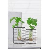 Dekula 2 li Set Şık Masaüstü Çiçeklik Mini Çiçek Bahçeniz Minimalist Vazo Ve Standı