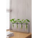Dekula 4 Gözlü Siyah Metal Standlı Masaüstü Çiçeklik ve Ofis Çiçekliği Minimal Vazo