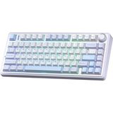 Delixa F75 Mekanik Rgb Tkl Gray Switch Kablosuz Makrolu Hot Swap Klavye Buz Mavisi - Standart